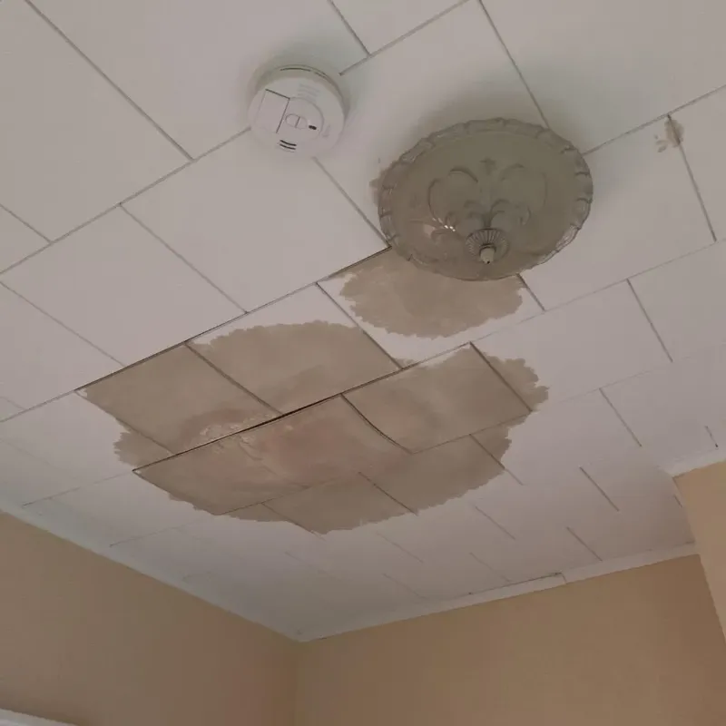 Ceiling Water Damage Repair in Jeffersonville, GA