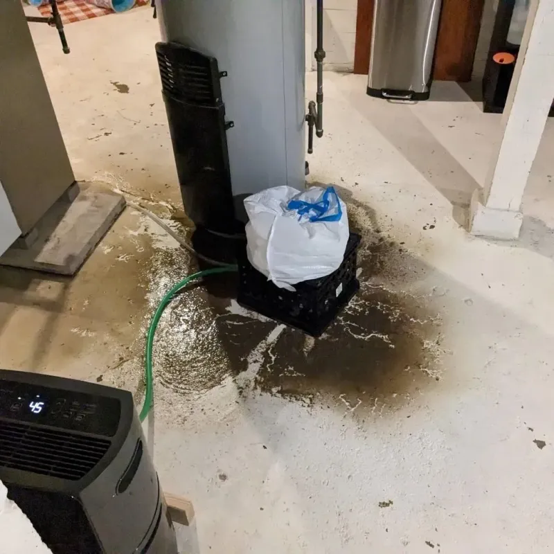 Sewage Backup Cleanup Service in Jeffersonville, GA